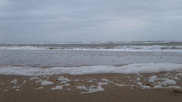 Noordzee