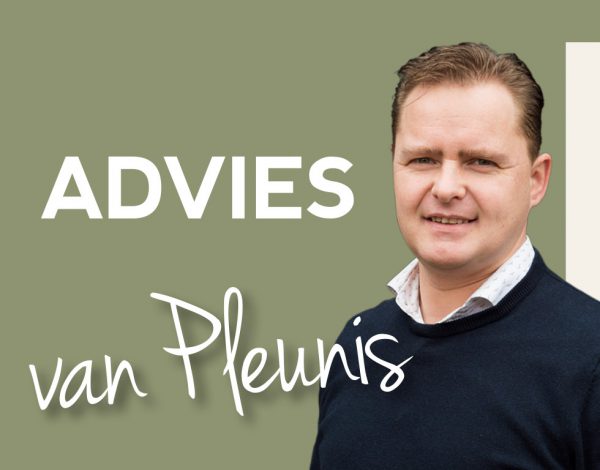 Advies van pleunis